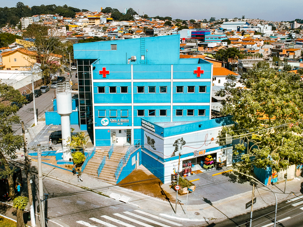 Banho e Tosa 24 Horas - Hospital Veterinário São Paulo Clinica